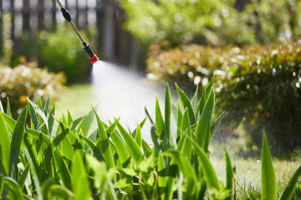 24/7 Emergency Mosquito Control experts in Big Bear Lake, CA