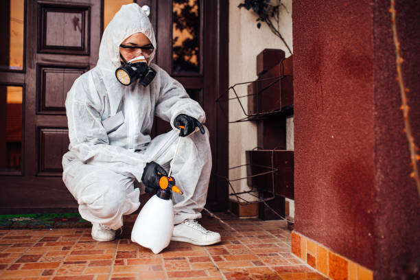 Reliable Mosquito Control contractor in Big Bear Lake, CA by Show Me Pest Control